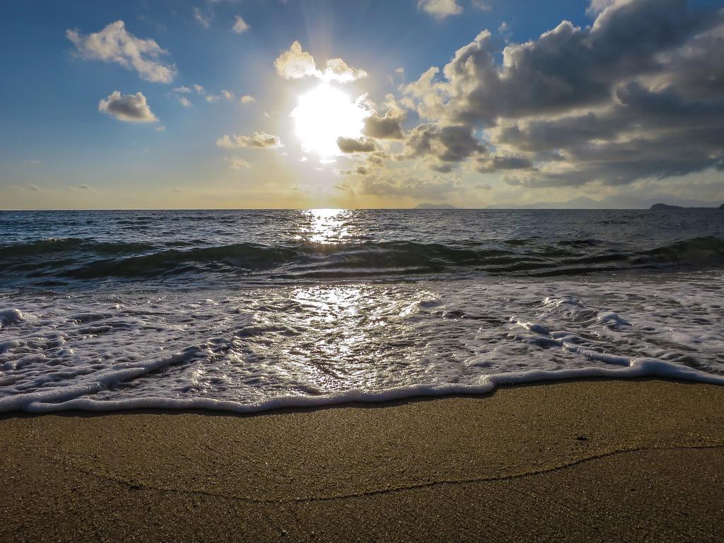 Cairns Beaches Flashpackers Palm Cove Bagian luar foto